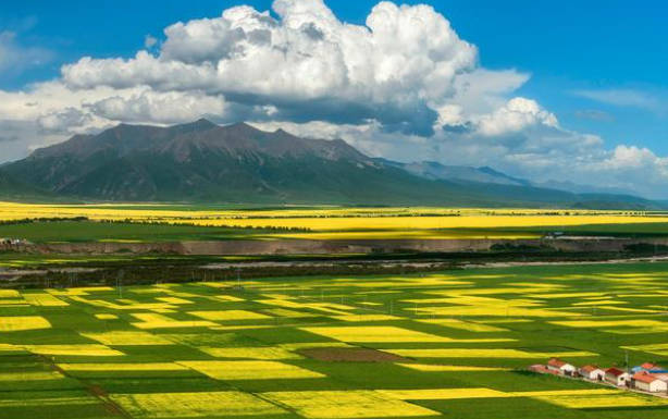 大西北环线旅游最佳旅游时间，6月-8月份