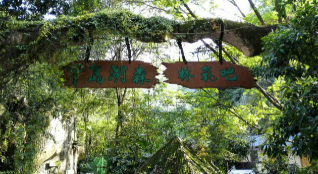千岛湖旅游必去的景点，淳安县打卡必逛景点推荐