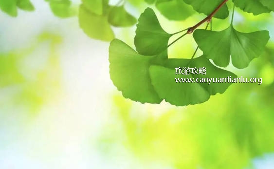 三伏天从什么时候开始至结束，7月16日开始8月24日结束（共40天）