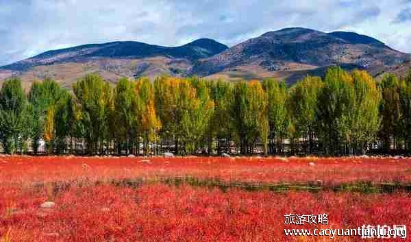 2019稻城亚丁旅游攻略 2019稻城亚丁旅游攻略