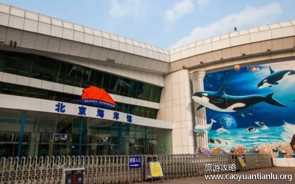 北京海洋馆营业时间及表演时间2022（附七大主题项目）