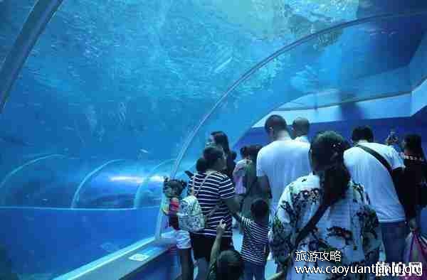 日照旅游攻略2019详细版 日照旅游潮汐表 日照旅游攻略2019详细版 日照旅游潮汐表