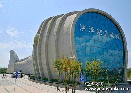 泗洪洪泽湖鱼族馆