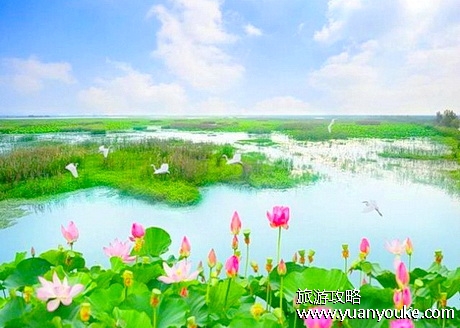 泗洪洪泽湖湿地博物馆