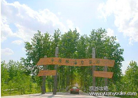 泗阳平原森林风景区