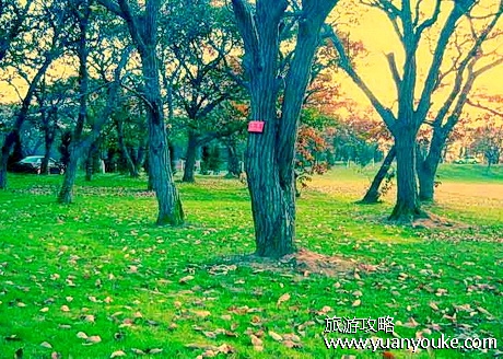 宿迁嶂山森林公园