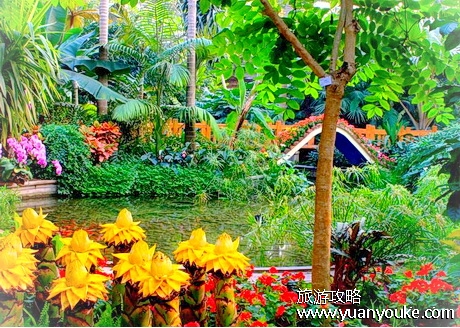 沭阳梦溪植物园