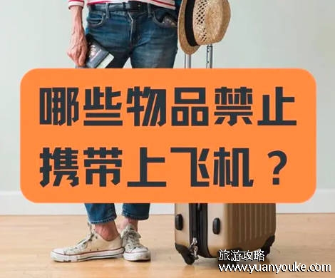 飞机上可以带护肤品水乳洗面奶吗？可以带（单瓶体积不能大于100毫升）