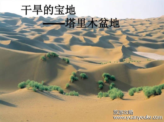 中国的四大盆地，塔里木盆地、准噶尔盆地、柴达木盆地和四川盆地