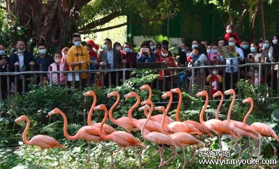 深圳有什么好玩的，十大必去的旅游景点