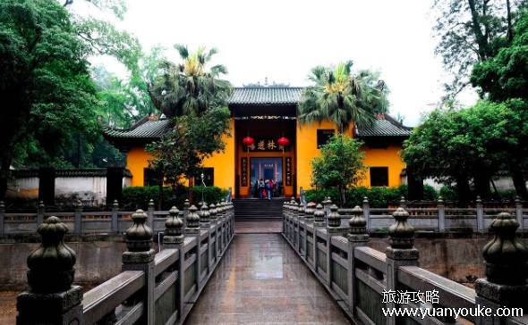 惠州旅游景点哪里好玩，十大必去景点（网红打卡地）