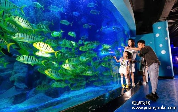 威海旅游攻略必去景点推荐，6大景点让你一次玩个爽(成山头最美)