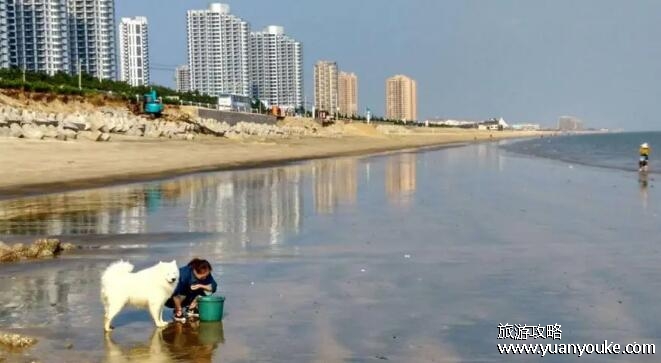 威海旅游攻略必去景点推荐，6大景点让你一次玩个爽(成山头最美)