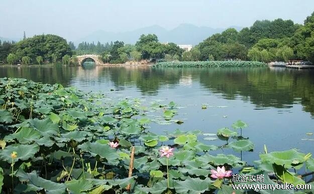 暑假适合带孩子去哪里旅游，7大城市最适合(风景怡人美食丰富)