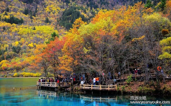 九寨沟旅游几月份最佳时间，7月到10月最好(人少风景美)