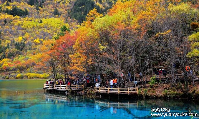 九寨沟在四川哪个城市，阿坝藏族羌族自治州(有巴士可以直达)