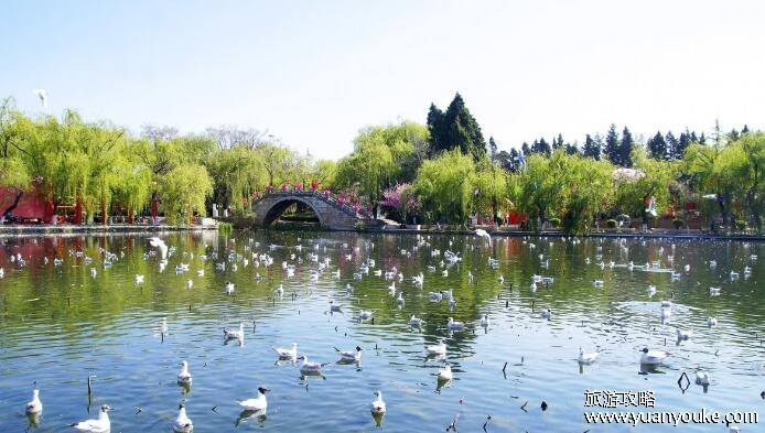 避暑胜地有哪些城市，哈尔滨/昆明/贵阳/呼和浩特(夏季气候凉爽)