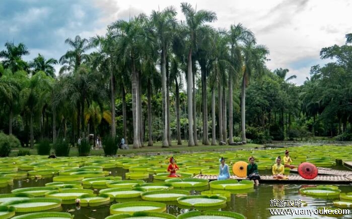 西双版纳旅游攻略必去景点，5大景点一定要去(澜沧江漂流最刺激)
