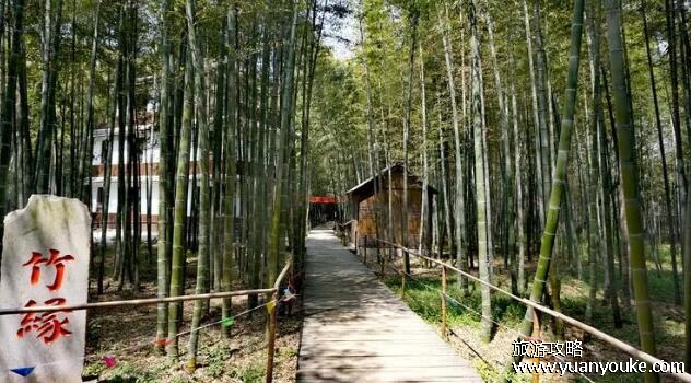 日照旅游攻略必去景点，4个景点最值得游玩(森林公园最美)