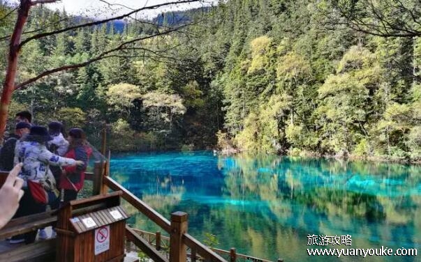 九寨沟旅游一般要多少钱，最低2000元左右(主要是车费太贵了)