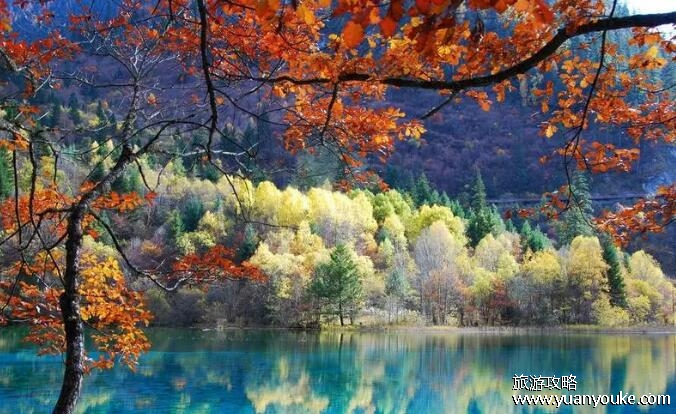 九寨沟旅游费用大概多少，最低2千元(交通费用会花费很多)