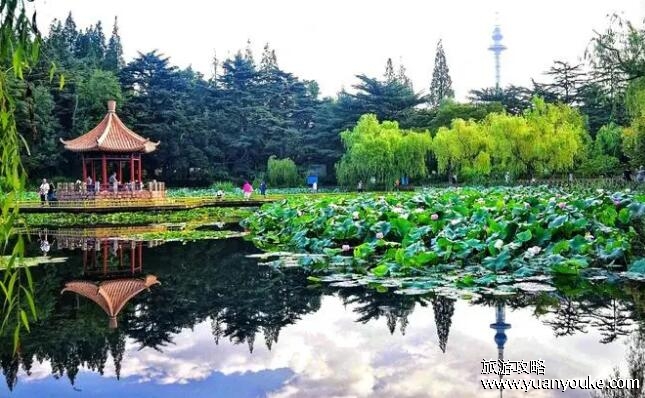 青岛有什么好玩的地方景点推荐，4大必去景点推荐