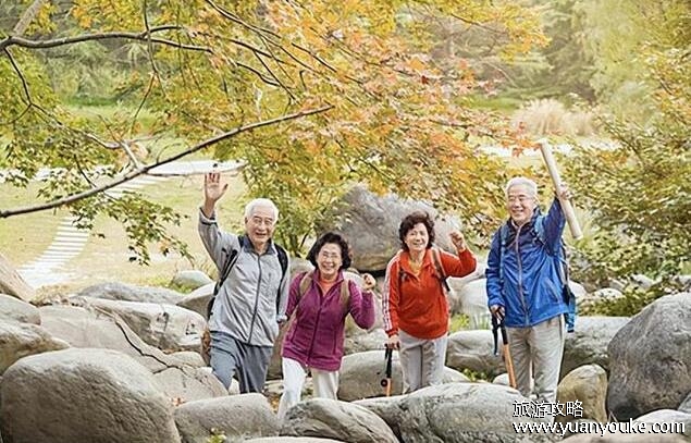 现在老年人旅游有半票优惠吗，大多数都有半票或者免费优惠