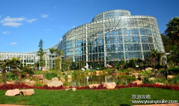 昆明旅游景点攻略自由行，5大必去景点推荐(翠湖公园最好玩)