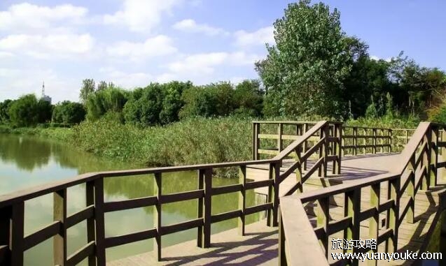 日照旅游攻略必去景点，4个景点必去(桃花岛最美最推荐游玩)