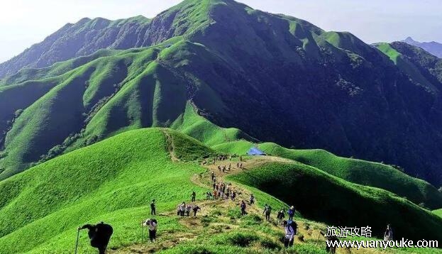 武功山在哪里哪个省，江西省萍乡市(非常适合登山探险和拍照)