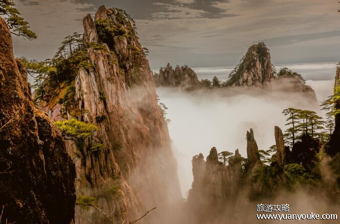中国四大名山是哪四个，黄山/庐山/峨眉山/华山(都是道教名山)