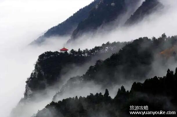 中国四大名山是哪四个，黄山/庐山/峨眉山/华山(都是道教名山)