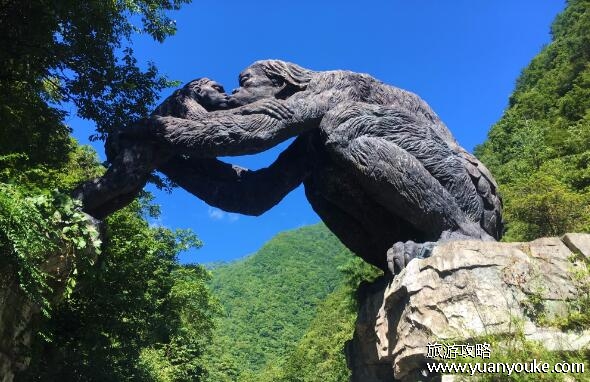 神农架在哪个省哪个县市，湖北省的一个林区(自然生态环境很好)
