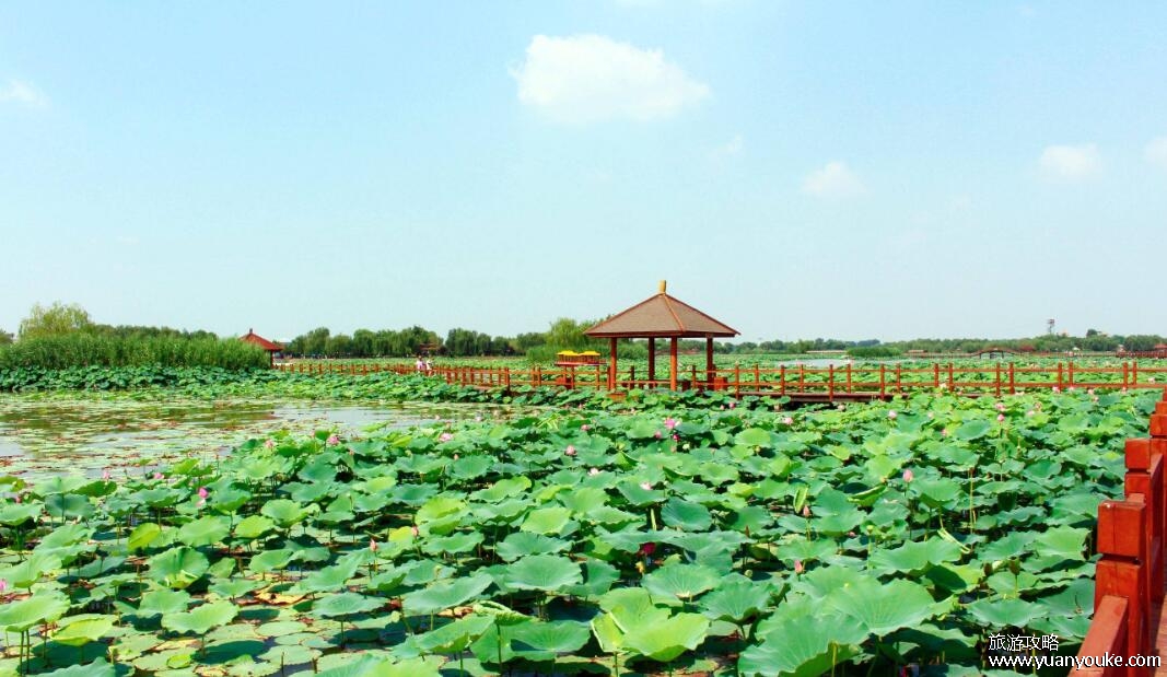 保定旅游景点有哪些地方，有4个景点最推荐游玩(白洋淀最有特色)