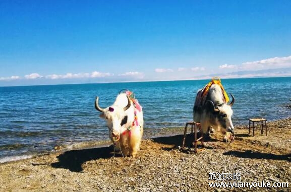 青海湖在哪个省哪个市，位于青海省海西蒙古族藏族自治州