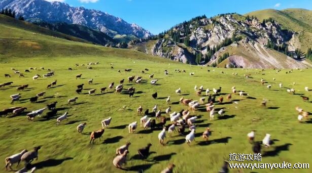 八月份适合去哪里旅游，4个地方最推荐游玩(气候宜人风景美丽)