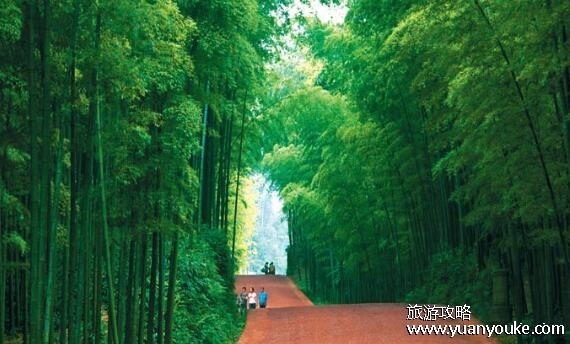 湖州旅游景点攻略，介绍湖州4大必去景点(南浔古镇是精髓)