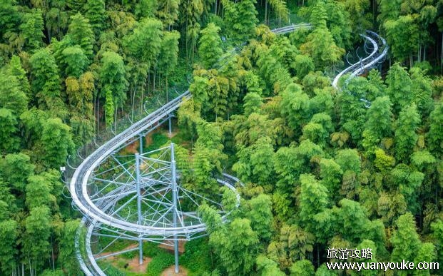 安吉旅游必去的景点，4个景点最推荐游玩(安吉竹海景色最美)