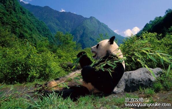安吉旅游必去的景点，4个景点最推荐游玩(安吉竹海景色最美)
