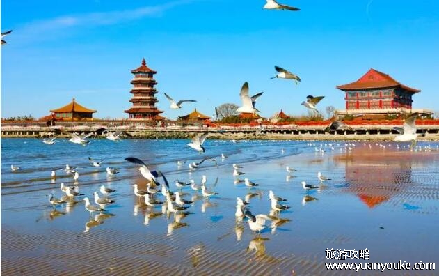 蓬莱在山东哪个城市，在山东省烟台市(八仙过海就在此处)
