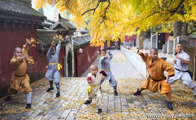 少林寺门票多少钱一张，最低80元一张(包讲解团费用最少268)