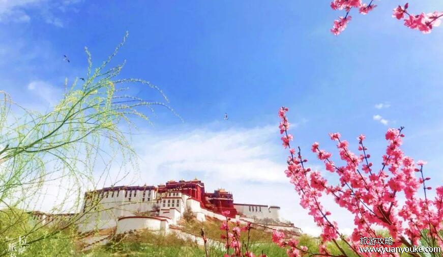 拉萨几月份去旅游最好，全年都适合去(时间不同美景不同)