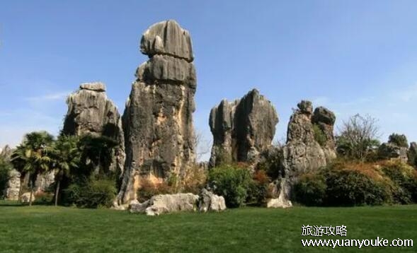 云南旅游必去的景点，4个景点最推荐游玩(能吃到各种菌子蘑菇)