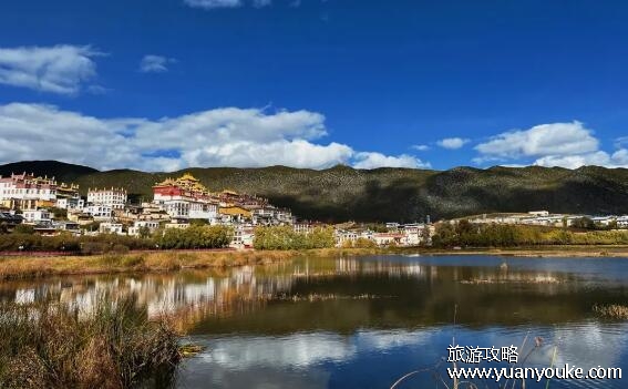 云南旅游必去的景点，4个景点最推荐游玩(能吃到各种菌子蘑菇)