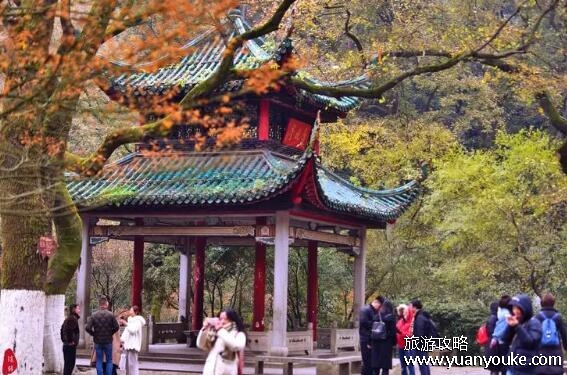 长沙有什么好玩的旅游景点，4大景点必去(橘子洲最适合拍照)