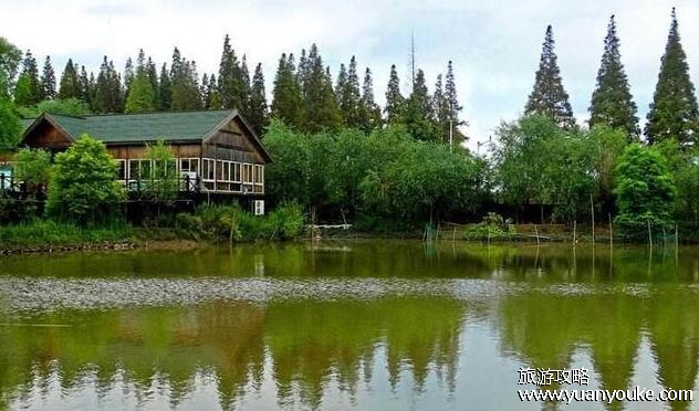 崇明岛几月份去最好玩，建议6月去玩(特色活动多节日也多)