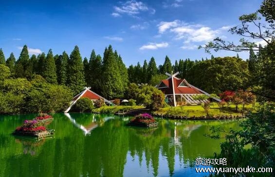 崇明岛几月份去最好玩，建议6月去玩(特色活动多节日也多)