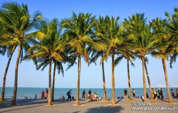 海口适合几月份去旅游，最推荐大家8月去海口旅游