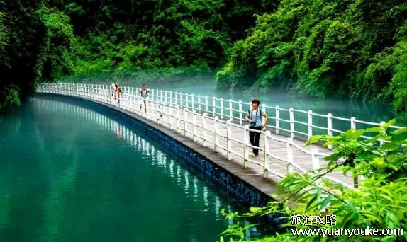 八月份去恩施好吗，8月非常适合去恩施旅游(气温不高景色优美)
