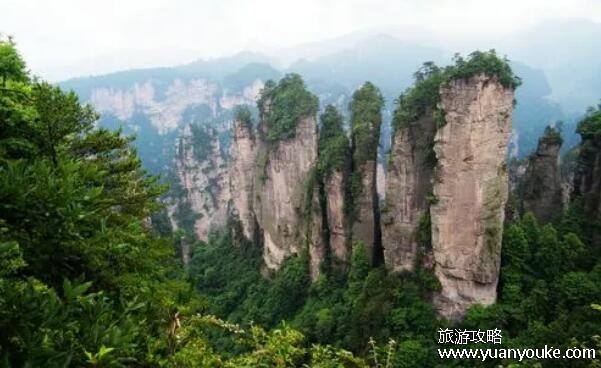 张家界好玩吗值得去吗，自然景观非常美丽(和大自然近距离接触)